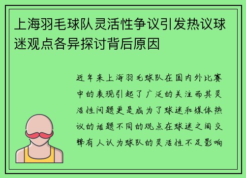 上海羽毛球队灵活性争议引发热议球迷观点各异探讨背后原因